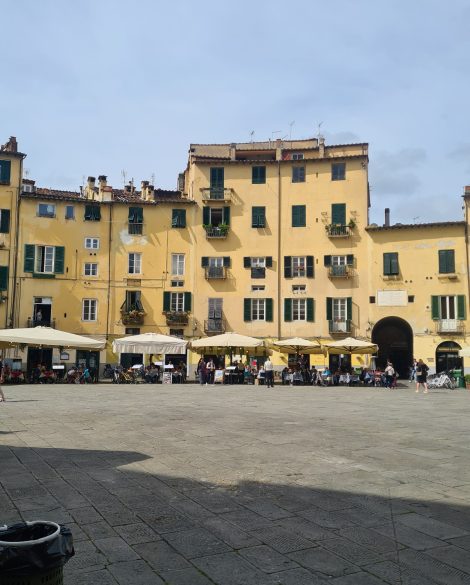 8c20780a-e84d-4523-8e3c-cf00d8f9bd90